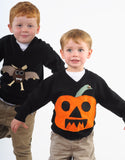 Kids Halloween Jumper Bertie Bat